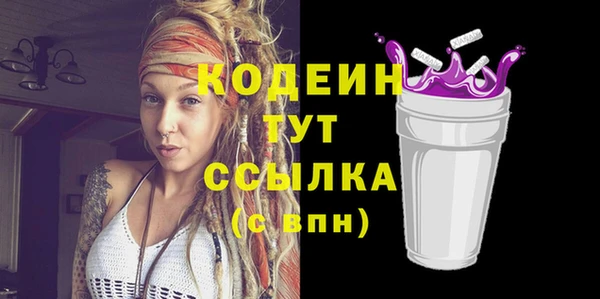 молекула духа Бородино