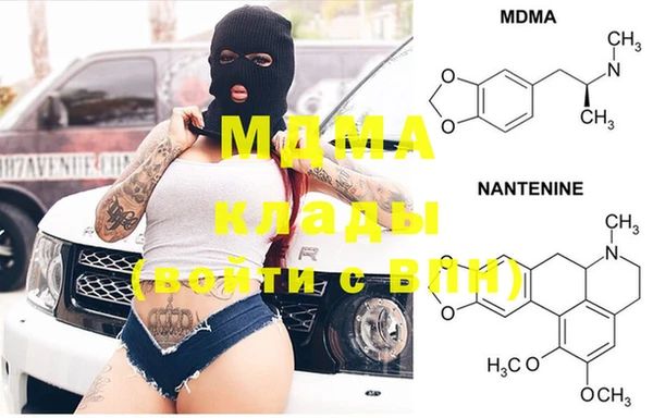молекула духа Бородино