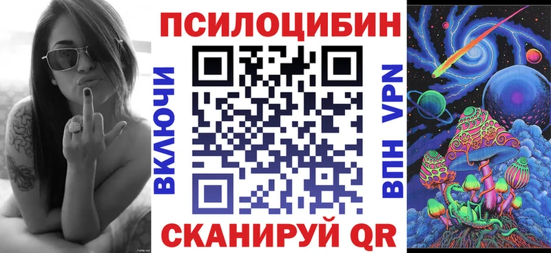 кракен ссылки  Ворсма  Псилоцибиновые грибы Cubensis 